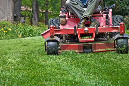 How Often Should You Mow Your Lawn in the Summer?